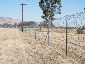 Flat wrap razor fencing