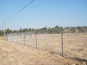 Welded mesh fencing