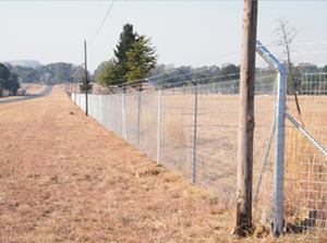 Welded mesh fencing